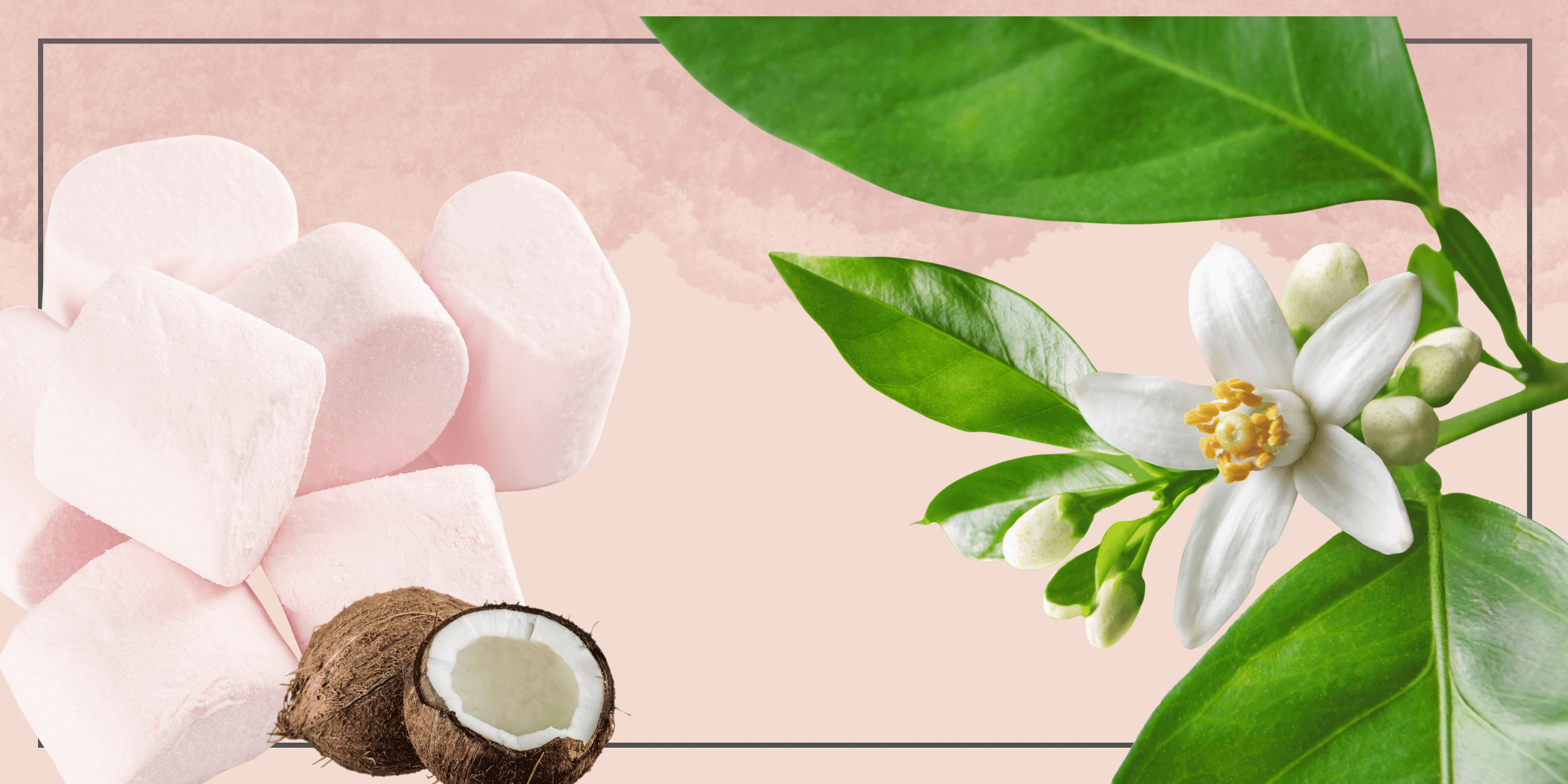 Brume et musc parfumerie orientale
