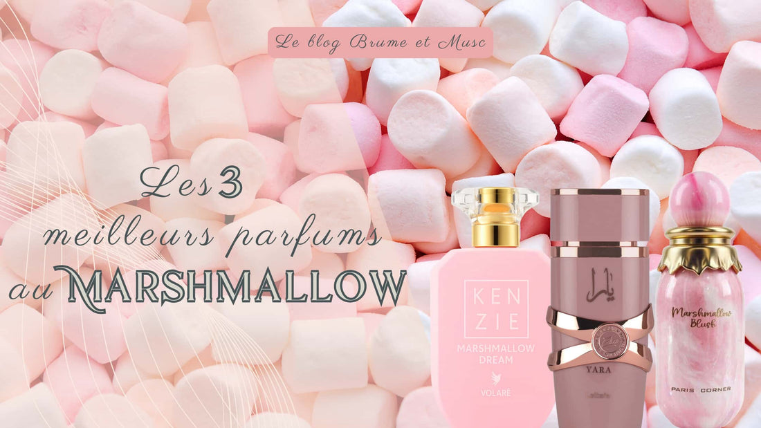 Les 3 meilleurs parfums au Marshmallow