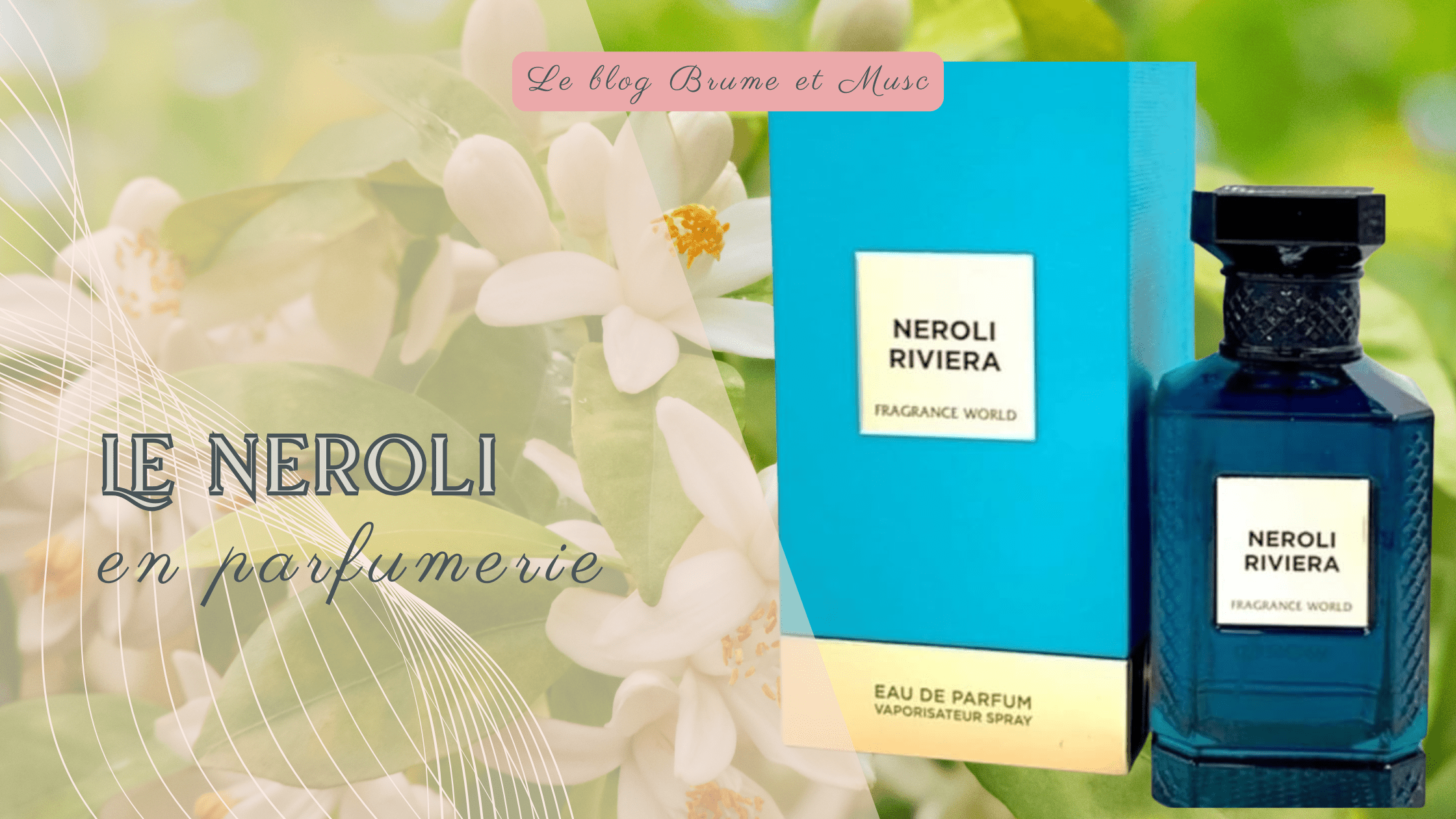 Le néroli en parfumerie - Brume et Musc