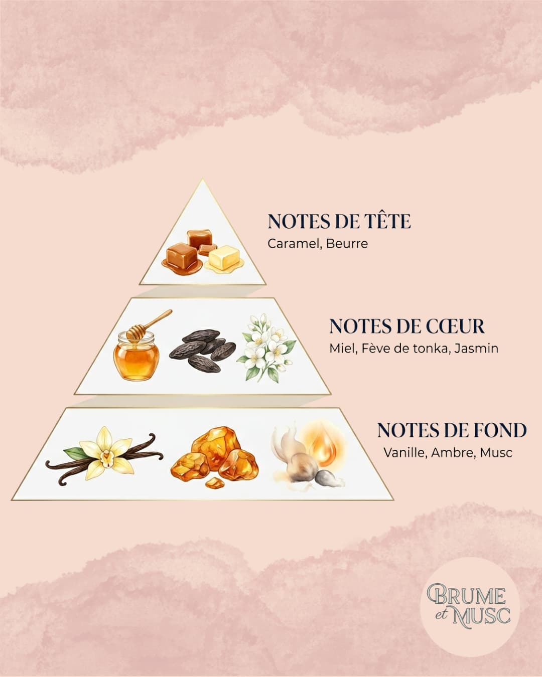 Pyramide olfactive Vanilla Voyage Maison Asrar parfum gourmand