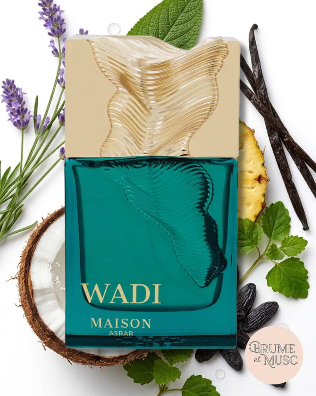 Wadi Maison Asrar