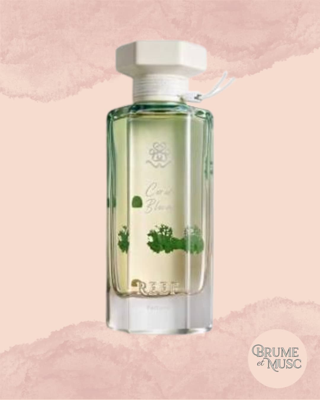 Flacon Coral Bloom Reef Perfumes sur fond blanc, ambiance pure et lumineuse.