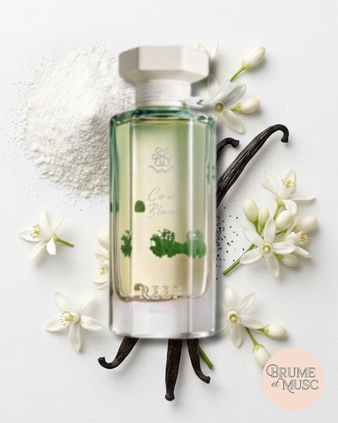 Flat lay studio des notes de Coral Bloom : musc blanc, fleur d'oranger et vanille douce.
