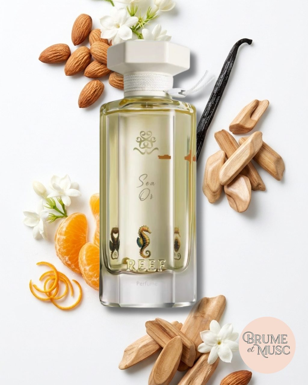 Flat lay des ingrédients de Sea Or : amande, mandarine, fleurs blanches et bois de santal.