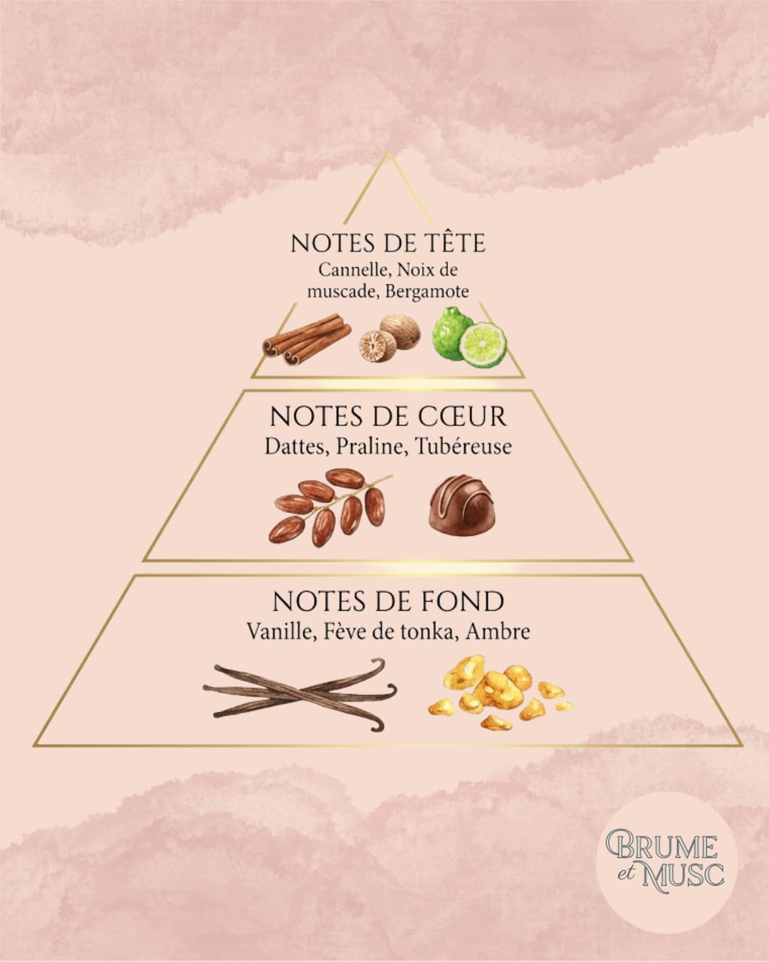 Infographie de la pyramide olfactive du parfum Khamrah Lattafa : notes de dattes, cannelle, praline et ambre