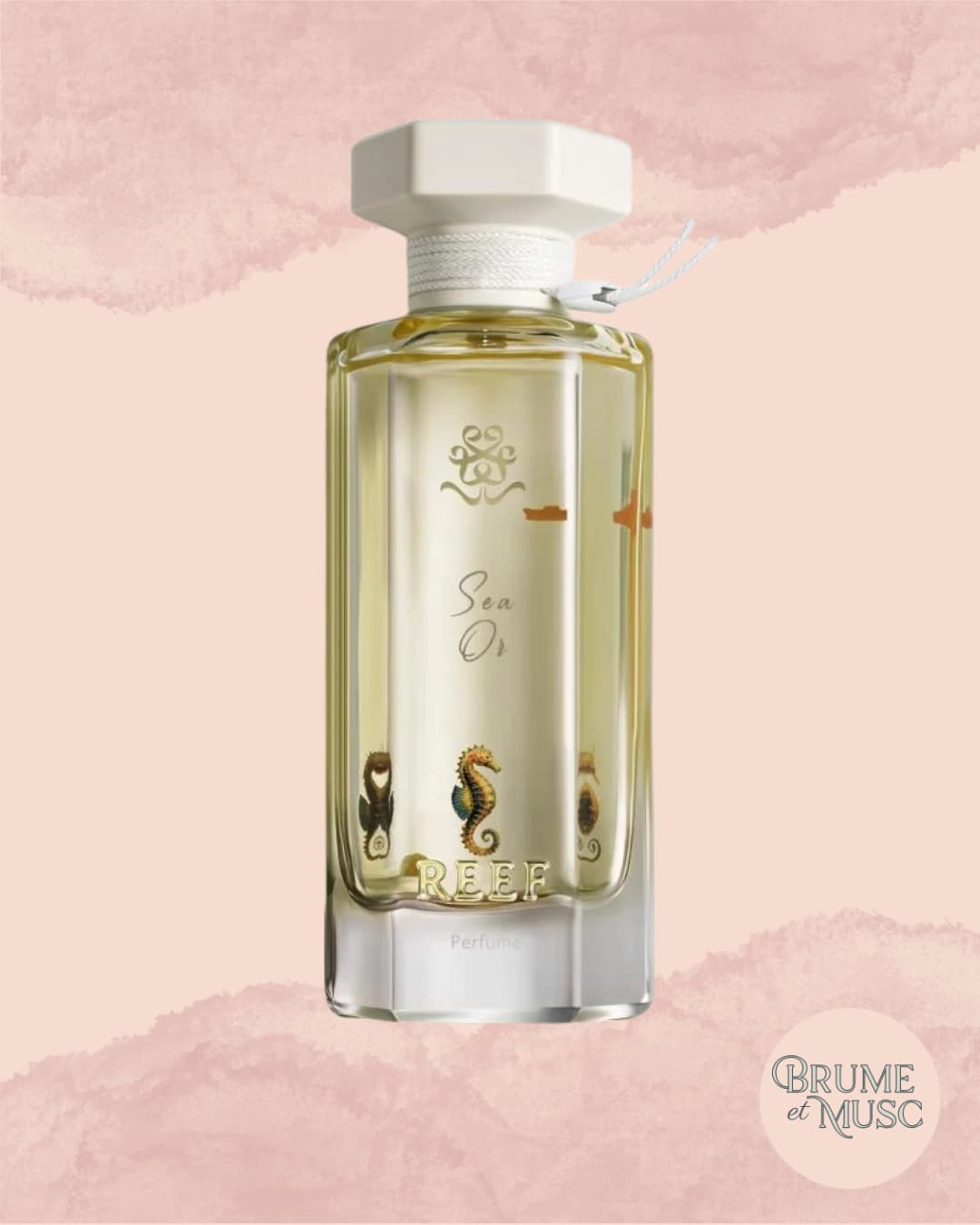 Flacon doré Sea Or de Reef Perfumes